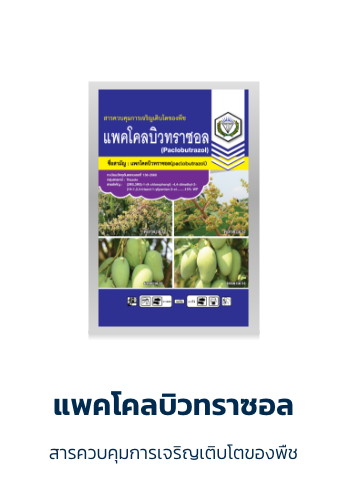 แพคโคลบิวทราซอล