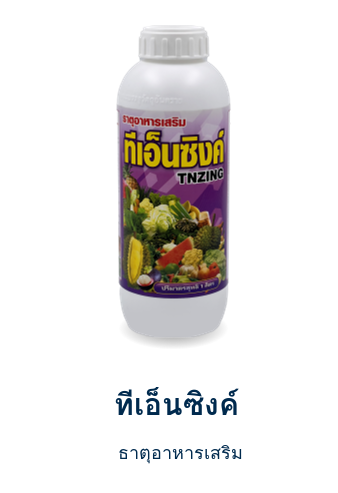 ทีเอ็นซิงค์
