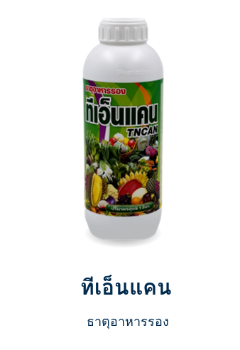 ทีเอ็นแคน