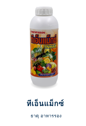 ทีเอ็นแม็กซ์