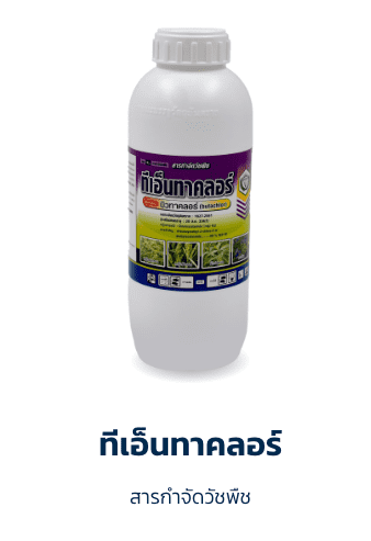 ทีเอ็นทาคลอร์