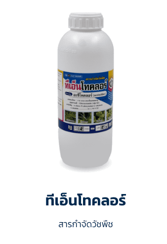ทีเอ็นโทคลอร์